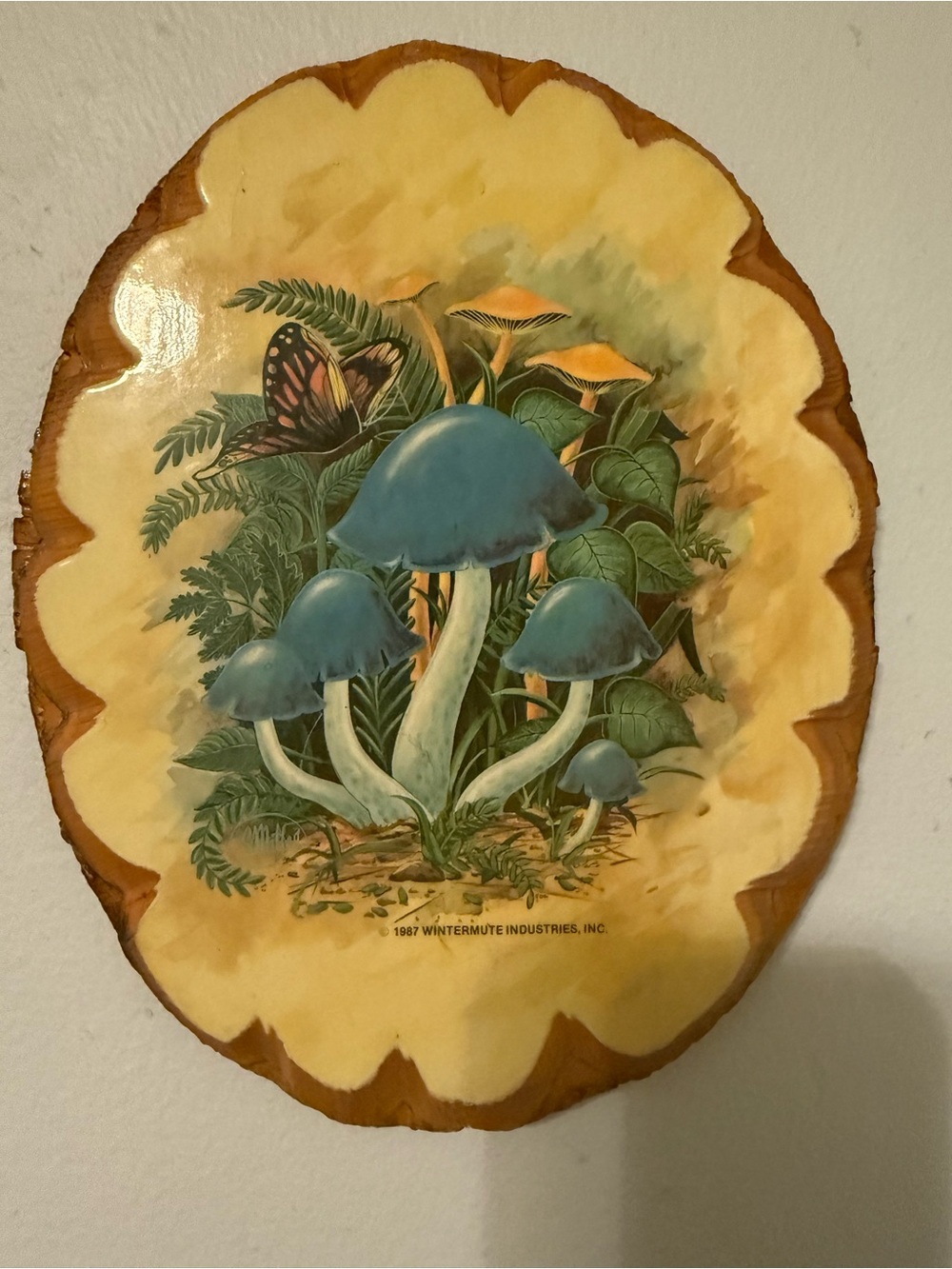Vintage Mushroom Butterfly Nature Wooden Wall Plaque Wintermute 1987